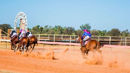 quilpie-500x280.jpg