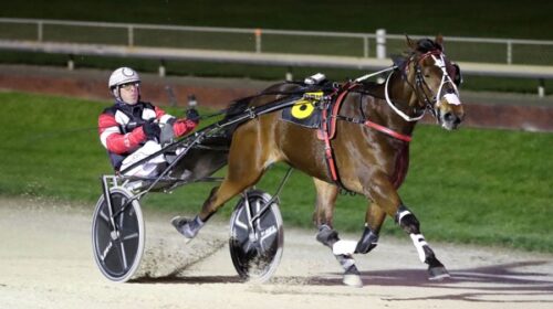 Aardiebythehill-blog-John-Dunn__ResizedI