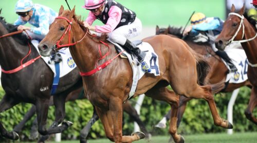 Beauty-Eternal-Zac-Purton-scaled-1-500x2