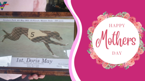 Doris-May-Insert-Image-1024x536-1-500x28