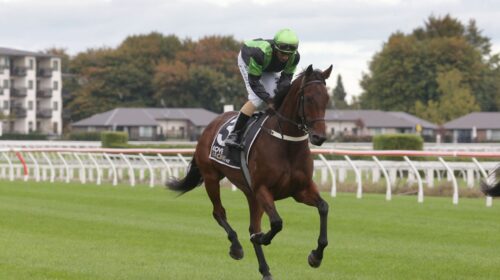 Enchanted-Elle-p-6218-scaled-1-500x280.j