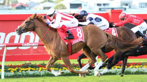 Giga-Kick-Doomben-10000-500x280.jpeg