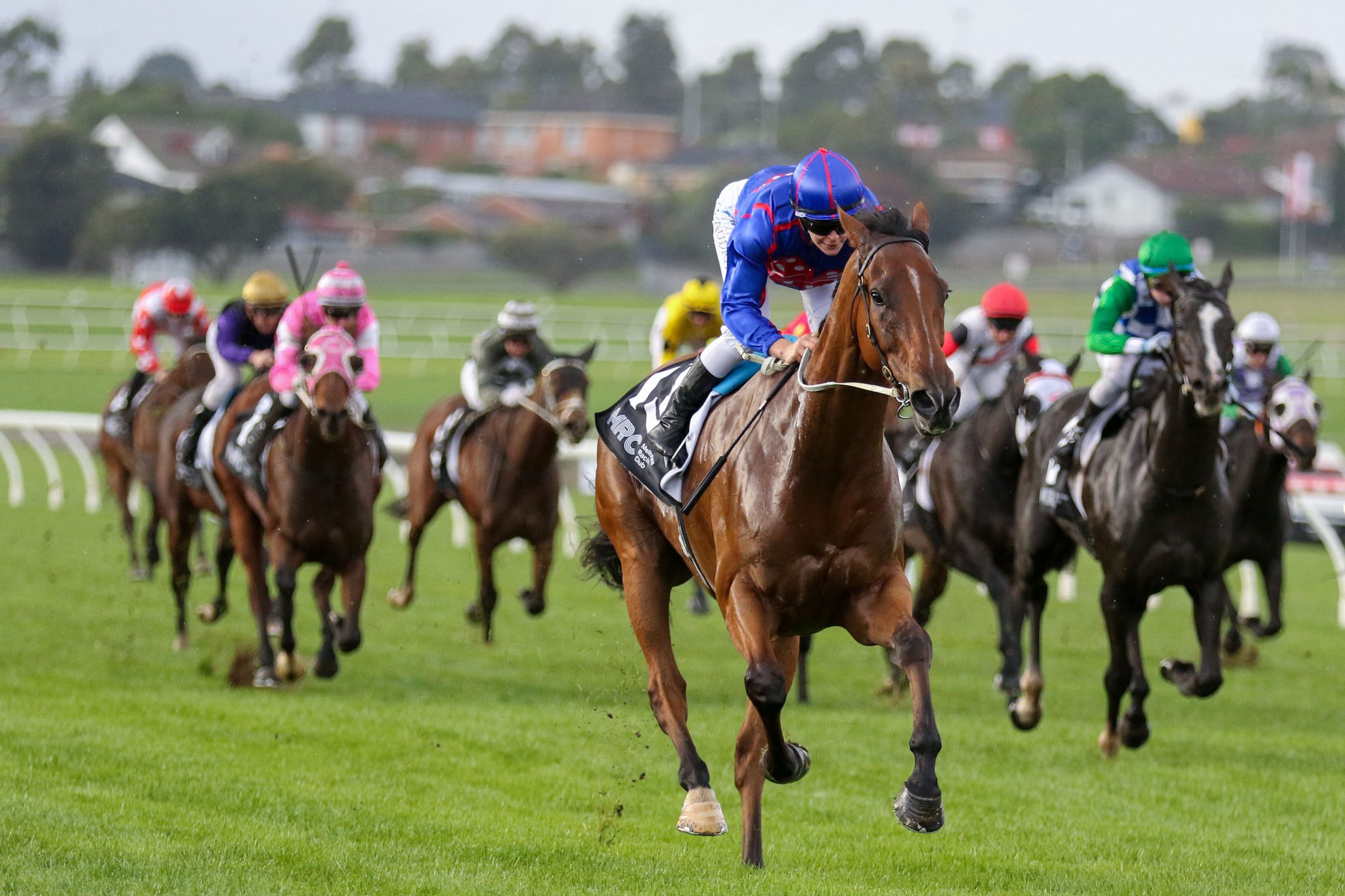 Globe_06-05-2023_WIN_Sandown_7__814-scal