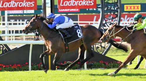 Hawaii-Five-Oh-Fred-Best-270523-500x280.