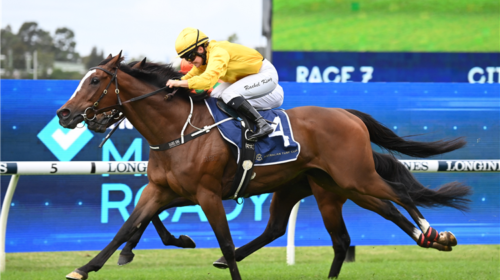 Horse-hopeful-176840-750x500-1-500x280.w