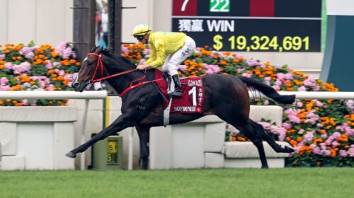 Lucky-Sweynesse-Chairmans-Sprint-Prize-s