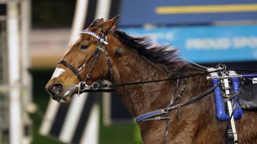 Millwood-Nike-Alex-Park-14-in-a-row-May-