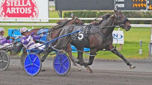 Perfect-Sting-blog-image__ResizedImageWz