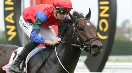 Solidify-Ryan-Elliot-2023-TD-scaled-1-50