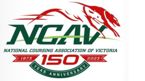 large-150th-NCAV-Logo-500x280.png