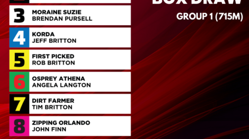 large-20230526-Sandown-Cup-Final-Box-Dra