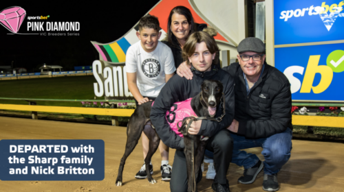 large-Departed-for-Cosmic-Owl-image-1024