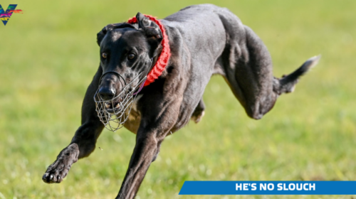 large-Hes-No-Slouch-1-Lang-Lang-on-20230