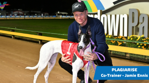 large-Plagiarise-and-Jamie-Ennis-Sapphir