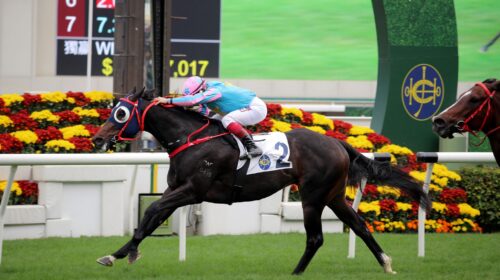 2_20220101-ST-R4-90I7335o-scaled-1-500x2