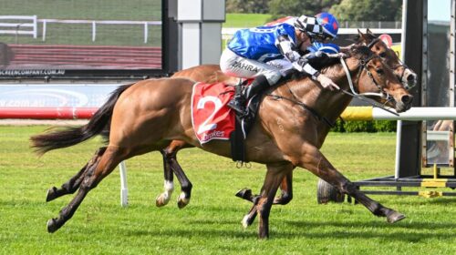 Artzino-7.9.22-Morgan-Hancock-Racing-Pho