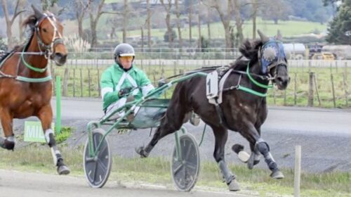 Caviar-Noire-blog-June-2023__ResizedImag