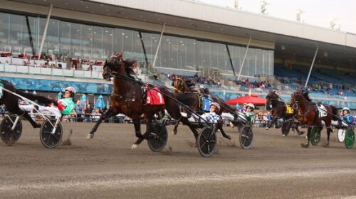 Christchurch-ex-North-America-blog-June-