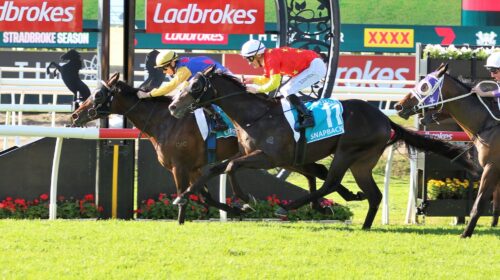 Cifrado-BRC-Sires-270523-e1685170550116-