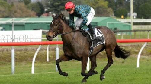 Cork-Tauranga-25.6.22-TD-scaled-1-500x28