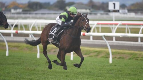 Enchanted-Elle-Peter-Rubery-Race-Images-