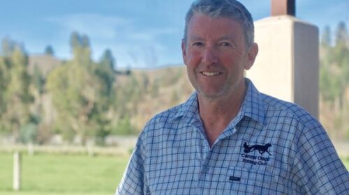 Graham-Sinnamon-Central-Otago-Trotting-C