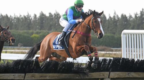 Happy-Star-Peter-Rubery-Race-Images-PN-5