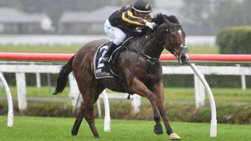 Johny-Johny-Kenton-Wright-Race-Images-50