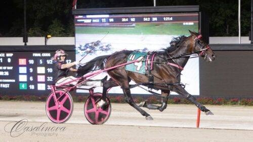 Lochinvar-Art-blog-Ohio-L__ResizedImageW