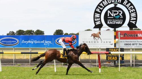 MAGNETO-WOBURN-FARM-2YO-CLASSIC-TARANAKI