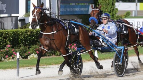 Miki-Montana-blog-2023__ResizedImageWzYw