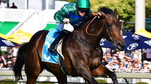 Renaissance-Woman-75-scaled-1-500x280.jp