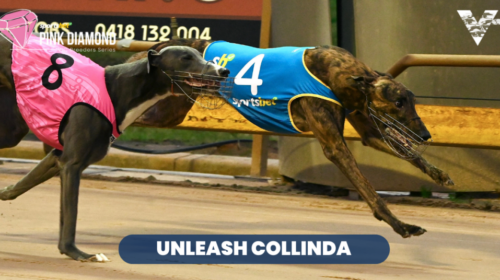 Unleash-Collinda-Shepparton-Pink-Diamond