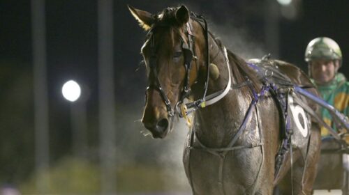 Whispering-Artist-blog-2023__ResizedImag