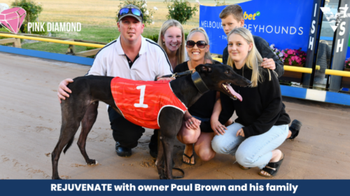 large-Rejuvenate-with-Brown-family-Pink-