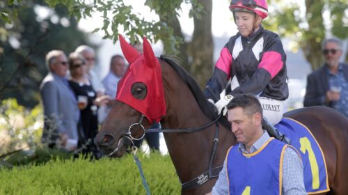 puntura-prw-2123-002-scaled-1-500x280.jp