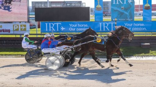 Brian-Zambese-quinella-Addington-July-20