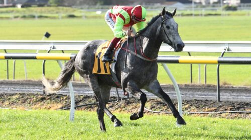 Helena-Baby-Opunake-Cup-scaled-1-500x280