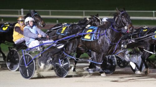 Katie-Cox-blog-100th-winner-Addington-Ju