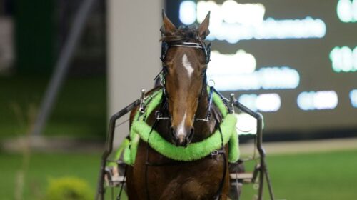 Smokinhotcheddar-blog-Alex-Park-July-202