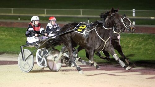 The-Bloss-and-Sarah-OReilly-win-Darren-D