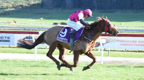 The-Good-Shepherd-Tayler-Strong-500x280.