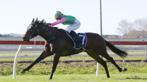 Wessex-Pukekohe-22.6.22-TD-scaled-1-500x