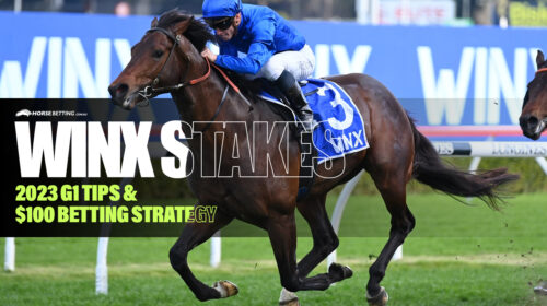 2023-Winx-Stakes-Preview-500x280.jpg
