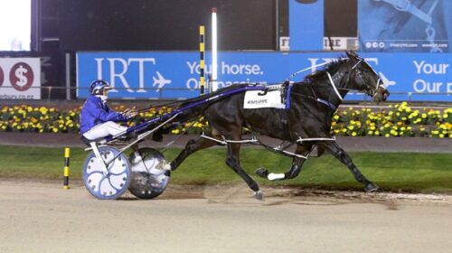 Anything-Goes-blog-Addington-2023__Resiz