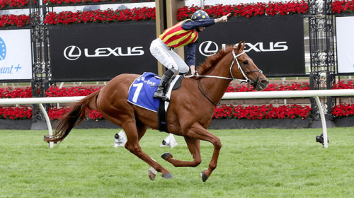 Horse-nature-strip-169718-750x500-1-500x