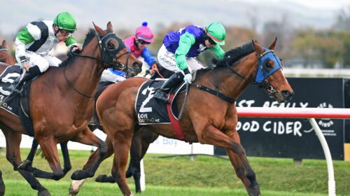 JODELIN-GAL-HB-6-6-2022-RACE-IMAGES-PHOT