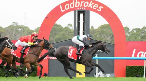 Little-Brose-Blue-Diamond-Stakes-500x280