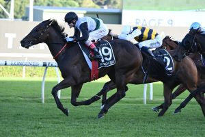 Caulfield Cup dream with Mr Brightside