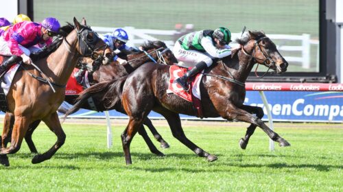 Poison-Chalice-Sandown-230823-scaled-1-5